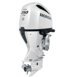 Honda 250HP | BF250DUCRA WT For Sale