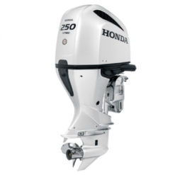 Honda 250HP iST | BF250DXCDA WT For Sale